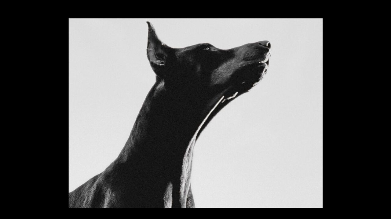 Tout prendre - NeS - Seeingsnds