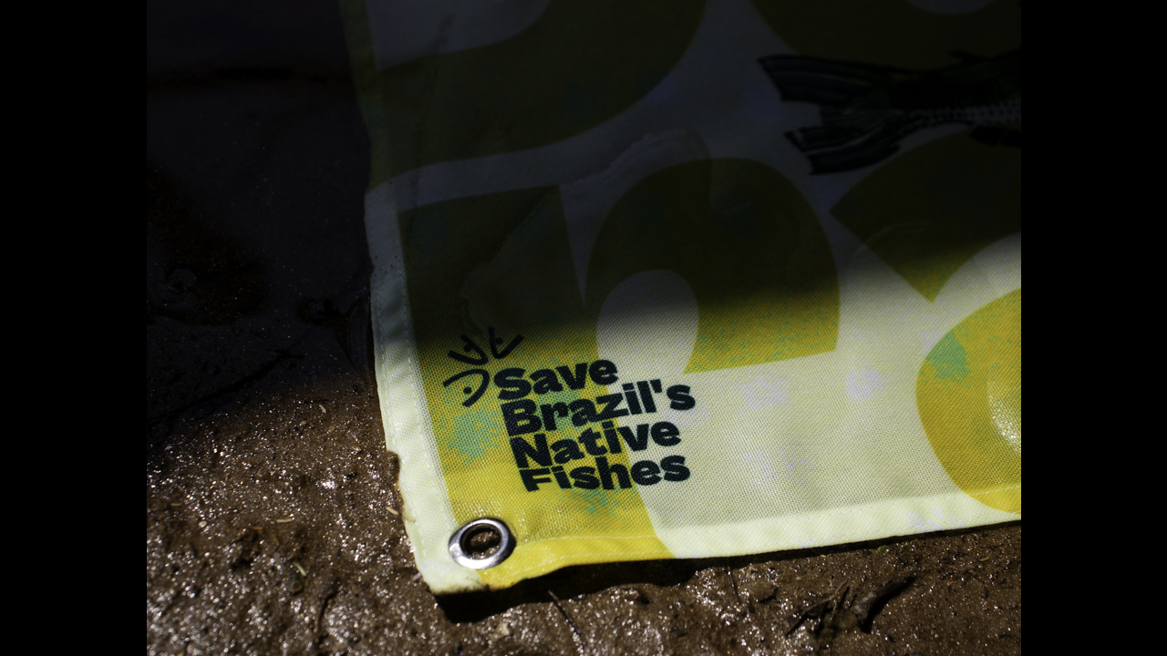 Projeto Peixara - 2024 - Enredo Brand Innovation