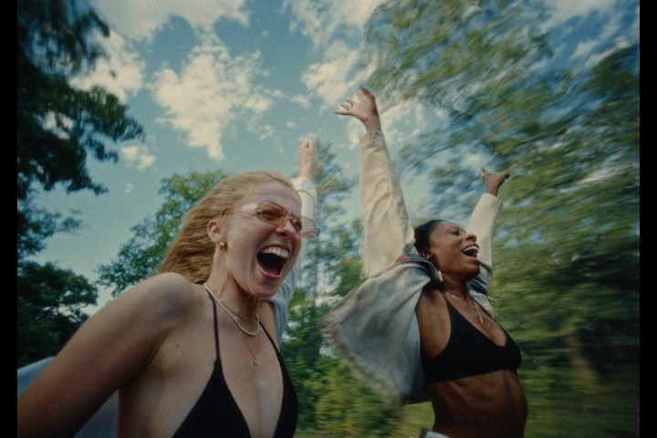 All the Wild Hearts Here Below - / - /