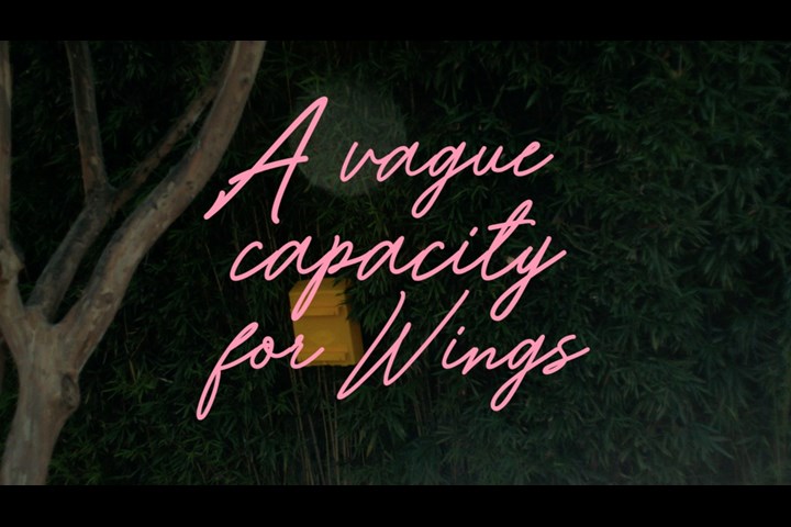 A Vague Capacity for Wings - Paula Raia - Paula Raia