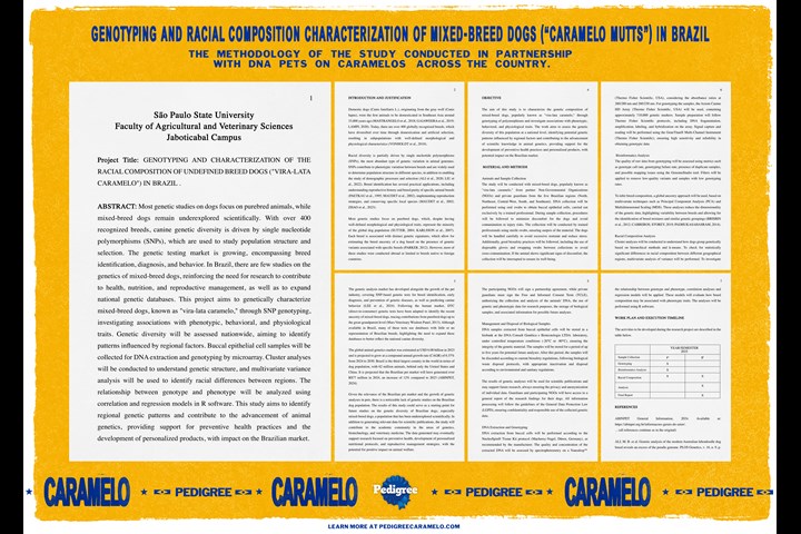 Pedigree Caramelo - Pedigree - Mars