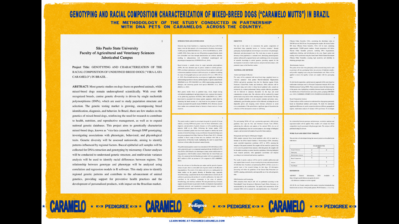 Pedigree Caramelo - Pedigree - Mars