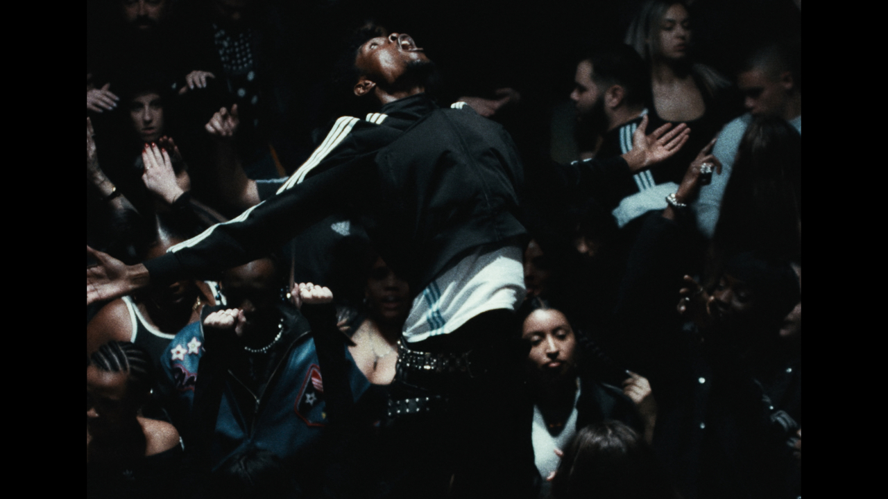 The Original - Division - Adidas