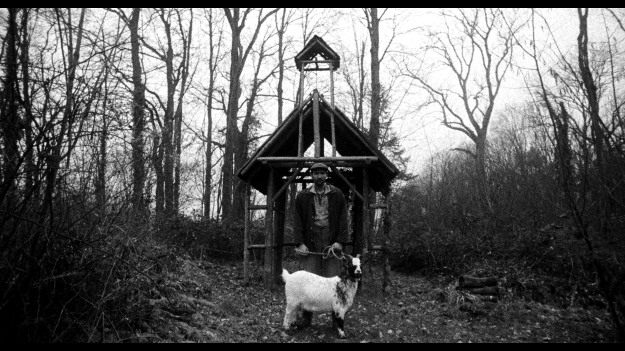 THE SHEARING - La Base ASBL - BEASTS