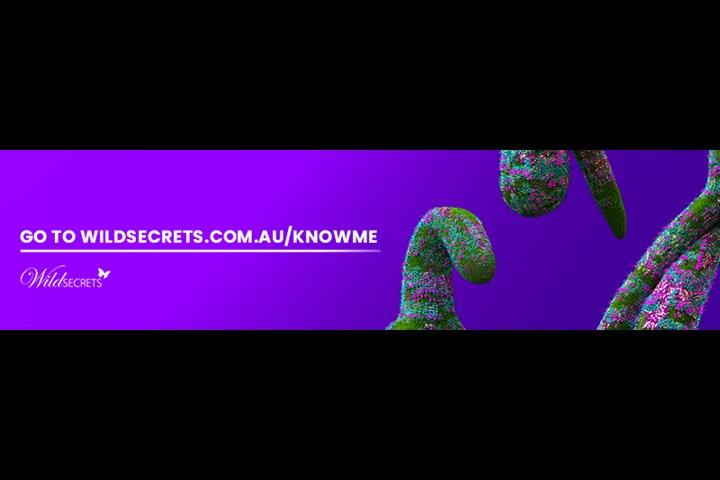 Know Me - Sex toys - Wild Secrets