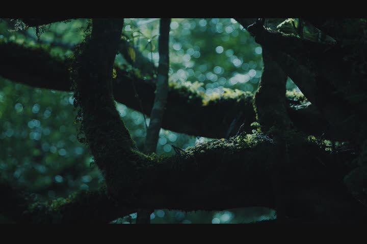 yakunojitsugetsubushi - ROBOT COMMUNUCATIONS INC. - ROBOT COMMUNUCATIONS INC.