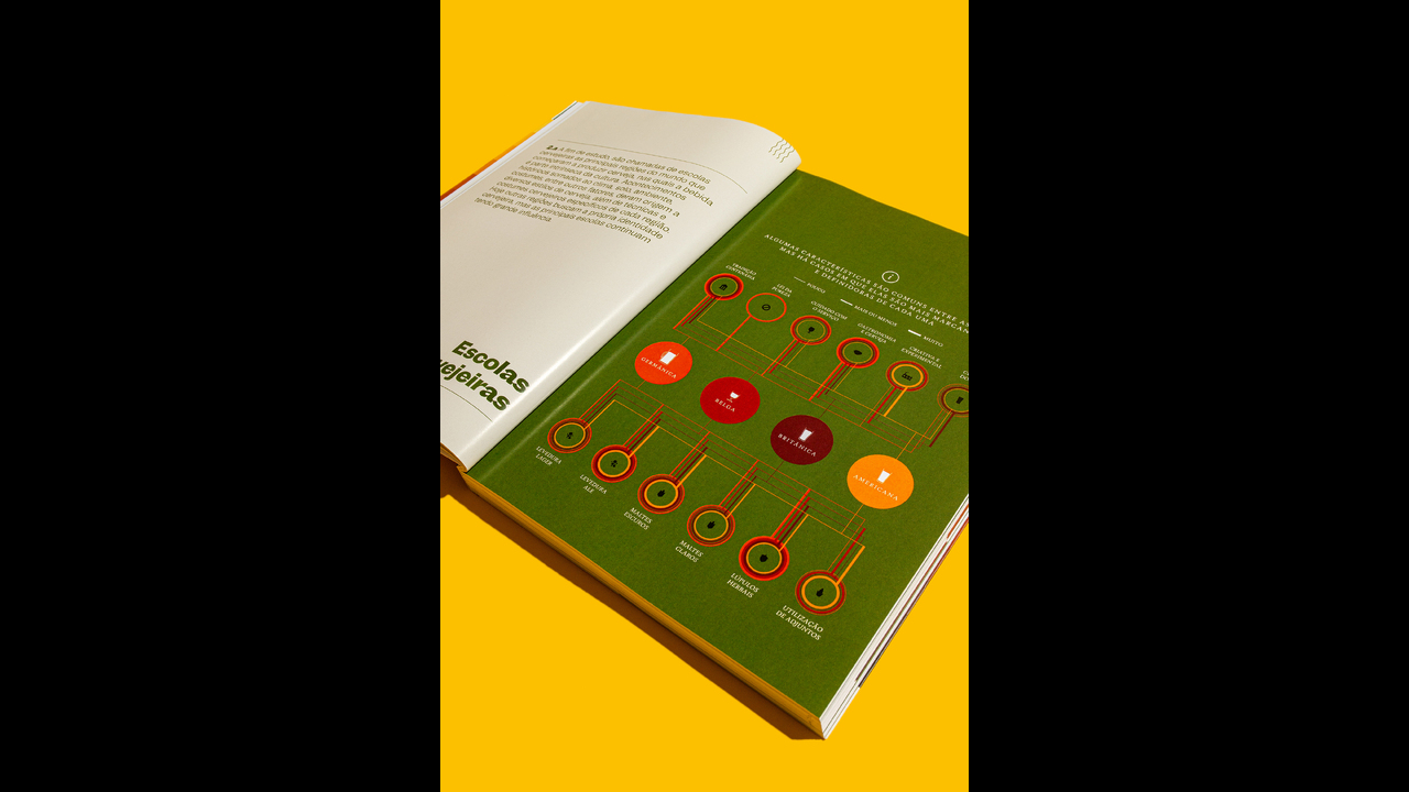 O livro da cerveja - 2022 - Alexandre Lucas e Renata Steffen/Laboota