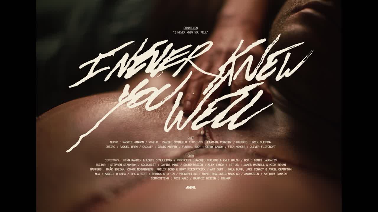 I Never Knew You Well - AWAL - Chameleon