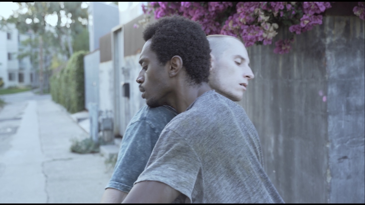WE - Sarah Elgart / Arrogant Elbow - 