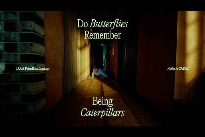 Do Butterflies Remember Being Caterpillars - Colossale - 
