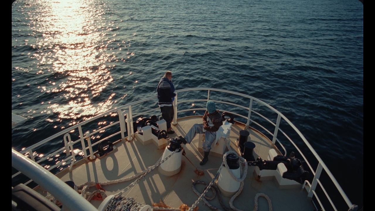 Vopn - Sensor - Birnir