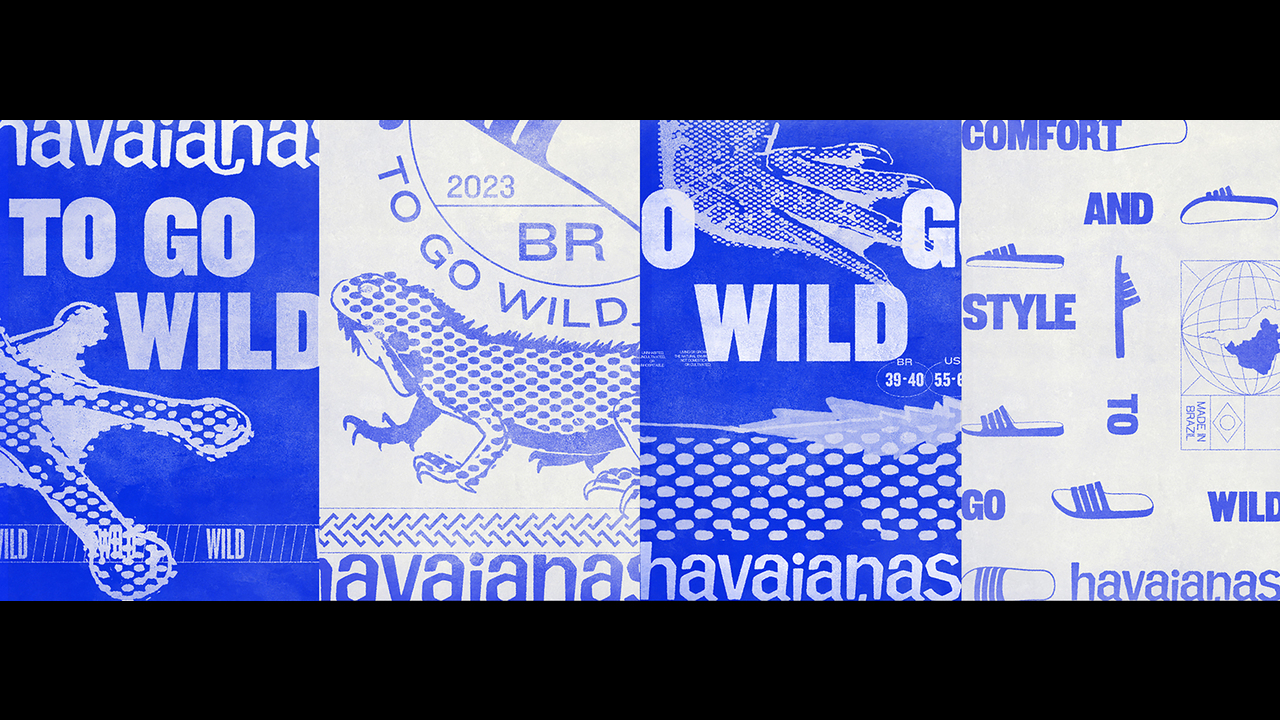 Havaianas To Go Wild - 2023 - Estúdio Caxa