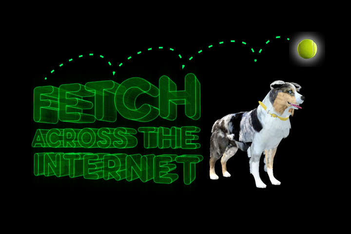 Fetch Across the Internet - Mars Petcare - Pedigree