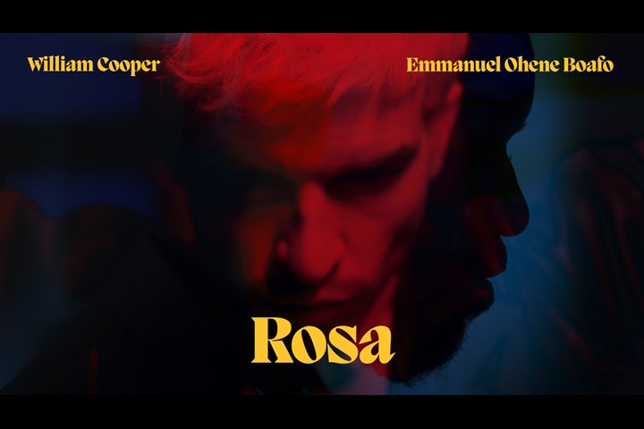 Rosa - Neuland -