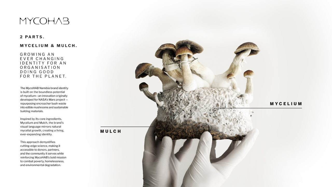 A Living, Growing Identity - Standard Bank, Mycohab - Mycohab