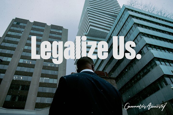 Legalize Us - Service - Cannabis Amnesty