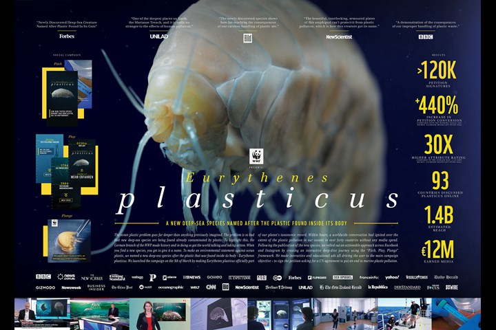 Eurythenes plasticus - A new species - WWF Germany