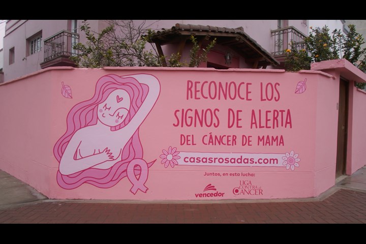 Pink houses against breast cancer - Home paint - Vencedor Paints