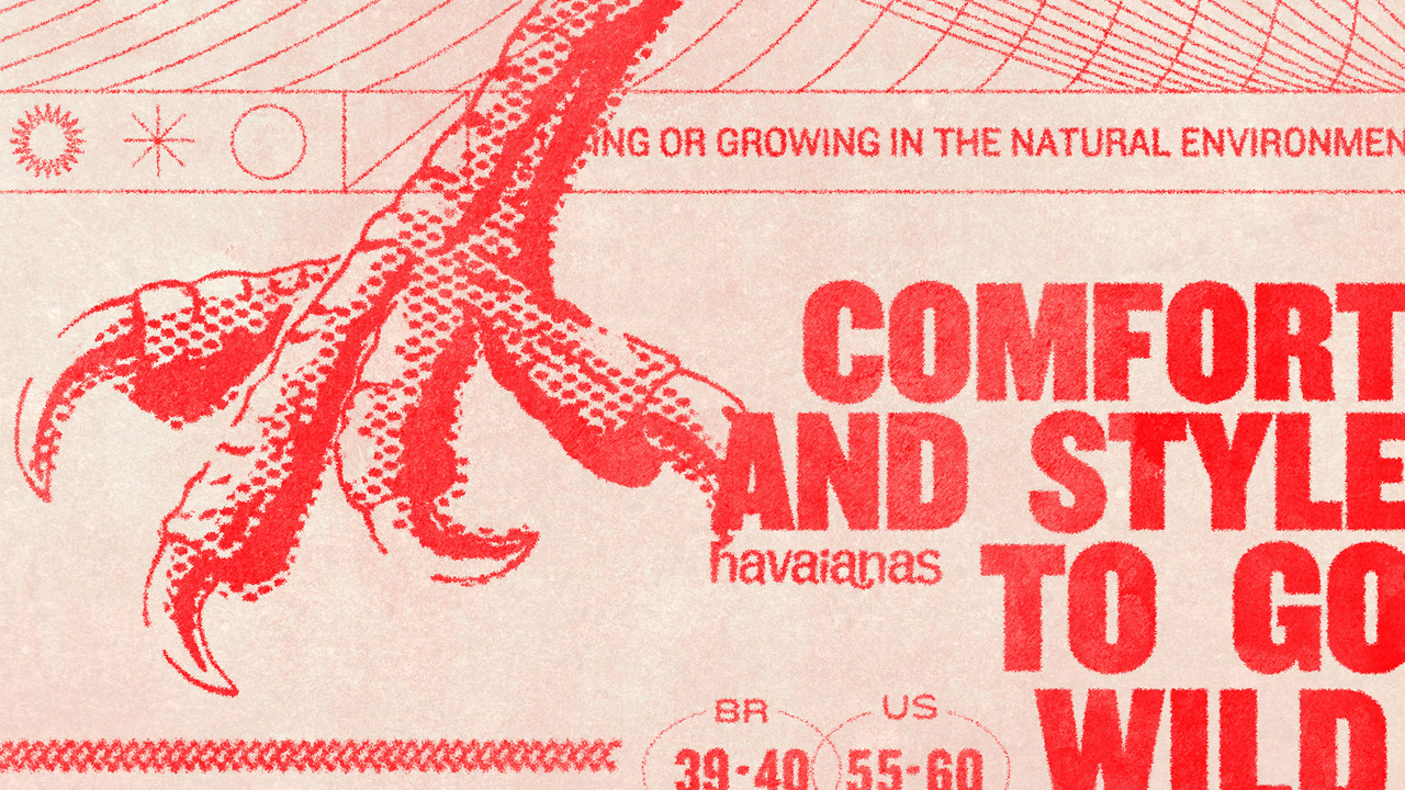 Havaianas To Go Wild - 2023 - Estúdio Caxa