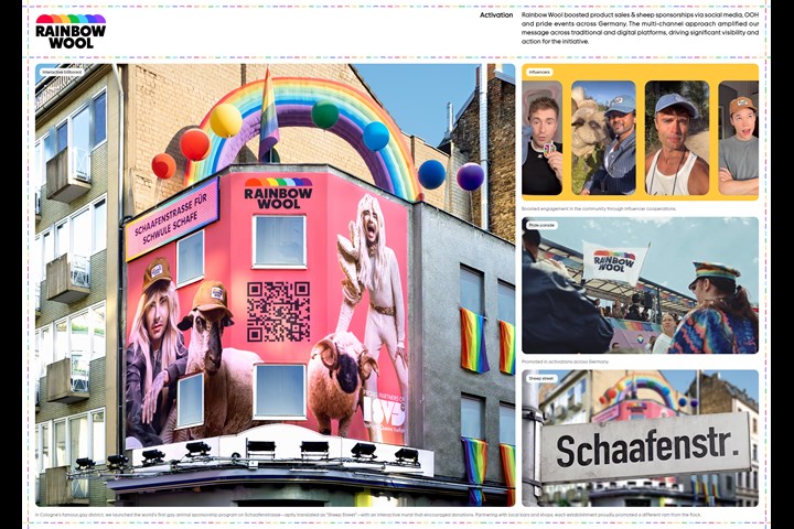 Rainbow Wool - Rainbow Wool - Schäferei Stücke