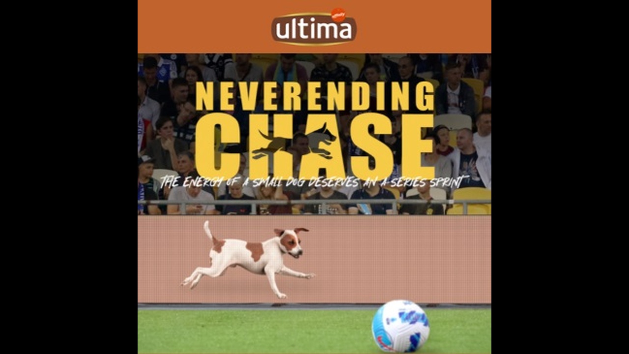 The Neverending Chase - Pet food - Ultima