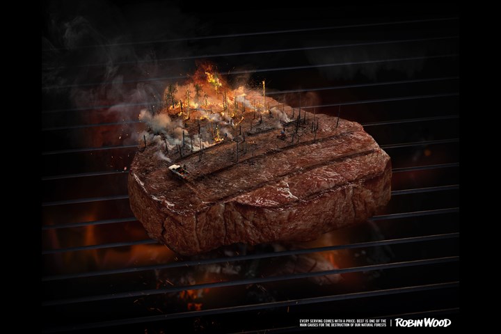 Hungry for Destruction - Non-violent action group for nature and environment - ROBIN WOOD