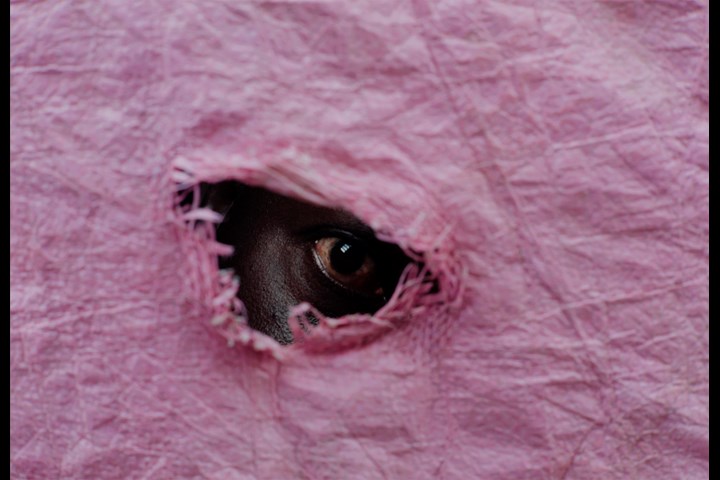 Patience (Sabali) - Pardon My French - DJ Snake x Amadou & Mariam