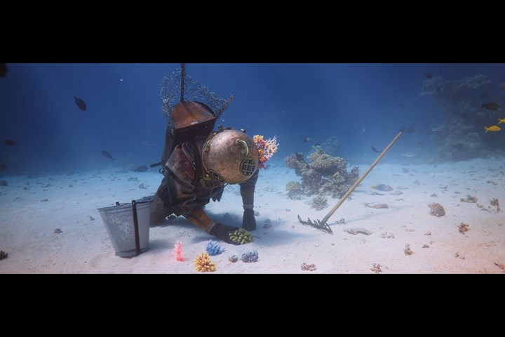 The Coral Guardian - Filmakademie Baden-Württemberg - Coral Reefs