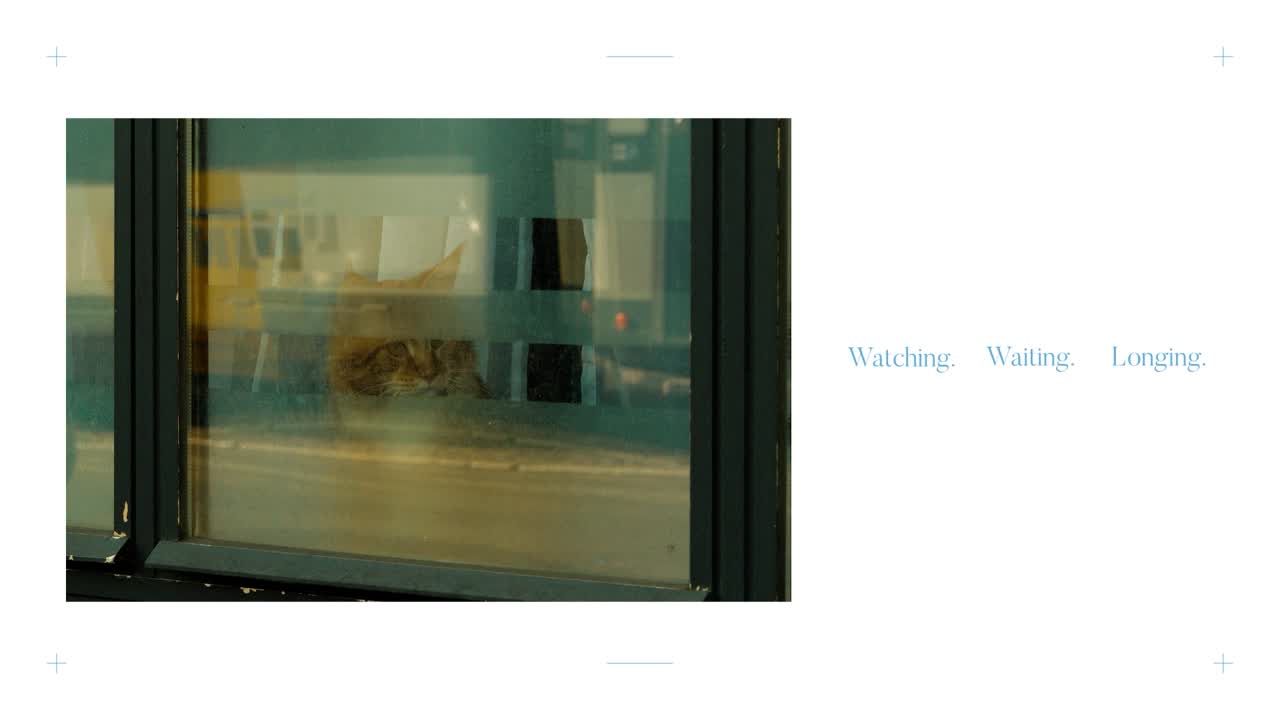 Waiting for You - Book - MoPets