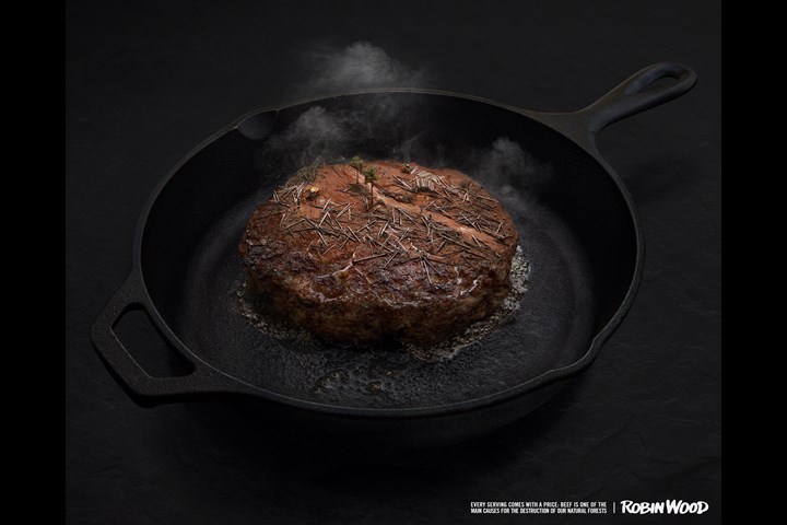 Hungry for Destruction - Non-violent action group for nature and environment - ROBIN WOOD