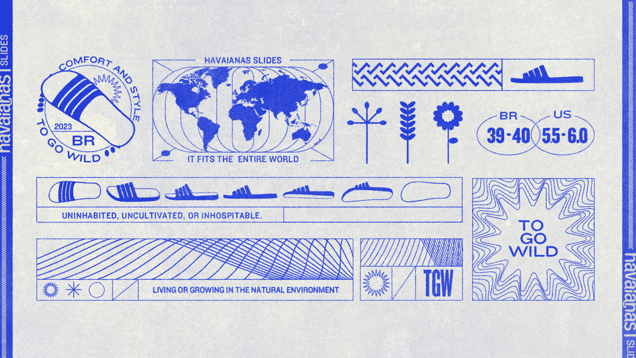 Havaianas To Go Wild - 2023 - Estúdio Caxa