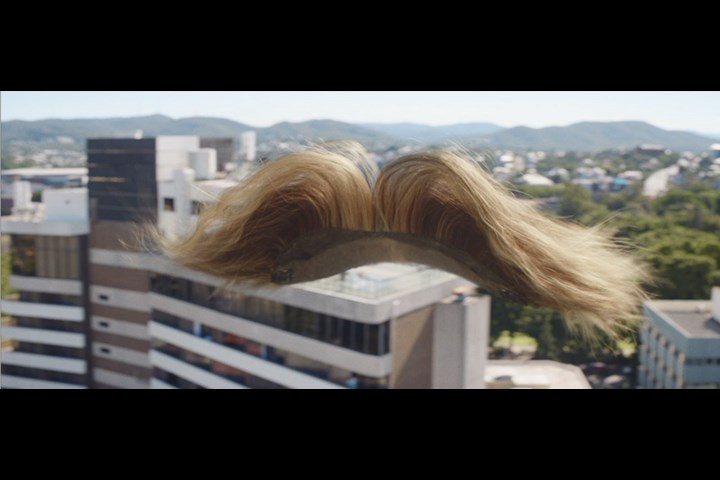 Up, Up & Toupee - Travel - Virgin Australia