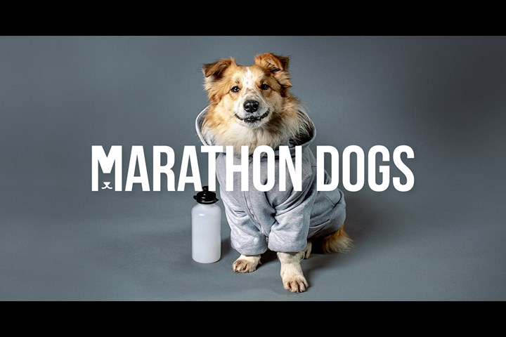 Marathon Dogs - ČSOB Bank Bratislava Marathon sponsorship - ČSOB Bank
