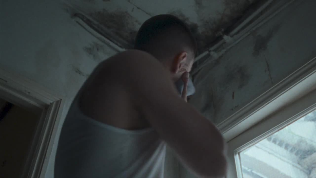 Shelter 'Our House Is Not A Home' - - Shelter