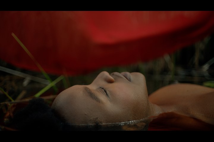 Flare - Vermillion Collective -