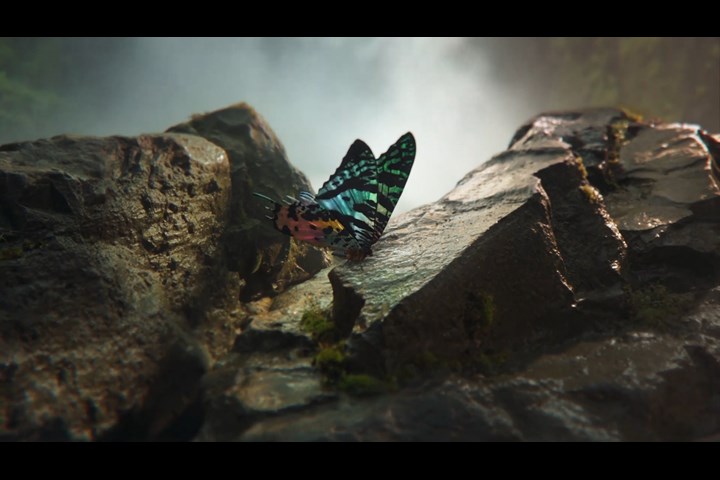 Sky Nature idents - Sky Nature - Sky