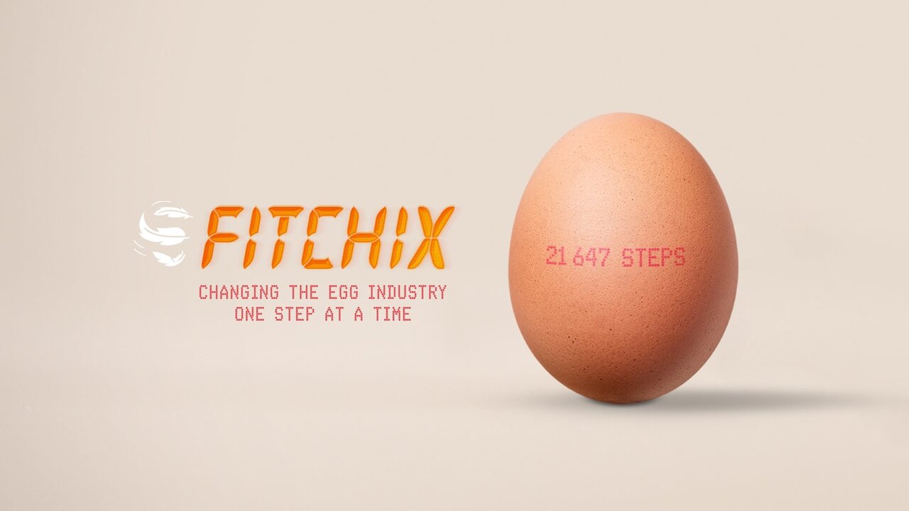 FitChix - AIRBAG - AIRBAG