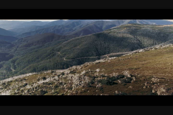 For Fun's Sake - FINCH - FINCH