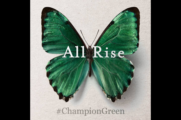 Champion Green - Champion Green - Kilkenny Design