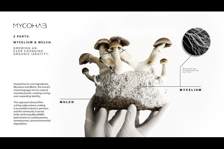 A Living, Growing Identity - Mycohab - Standard Bank, Mycohab