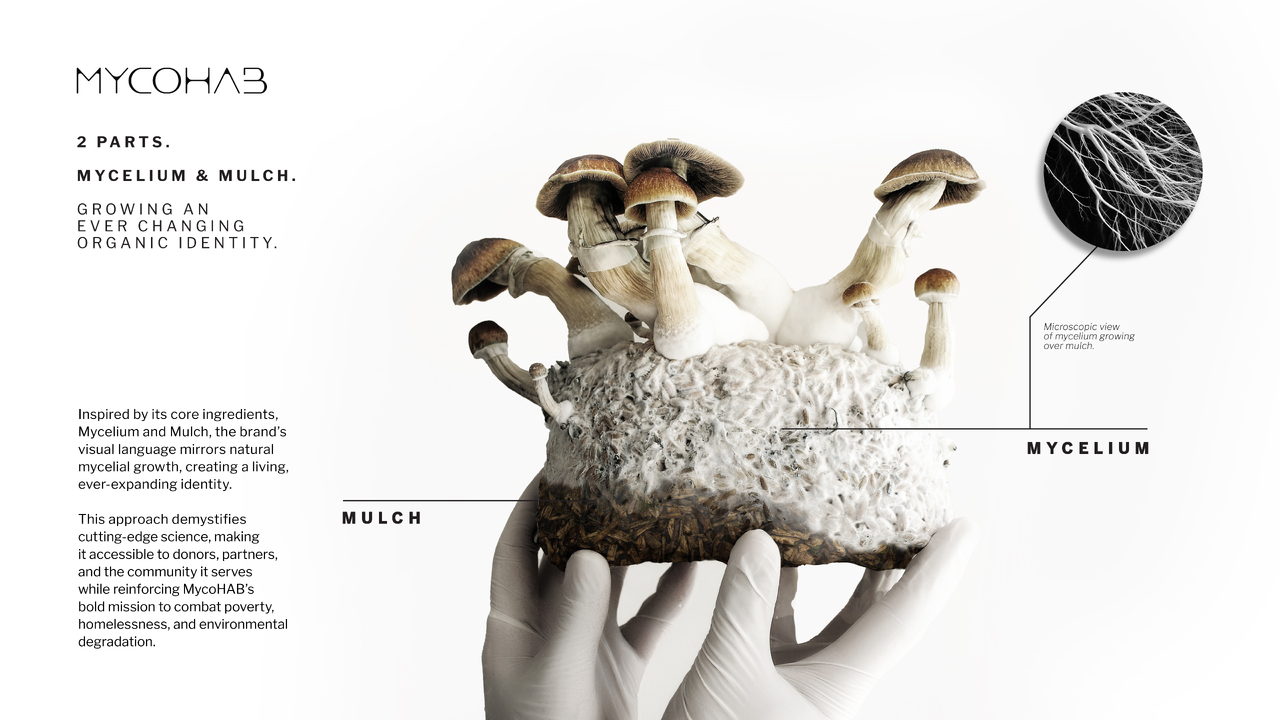 A Living, Growing Identity - Mycohab - Standard Bank, Mycohab