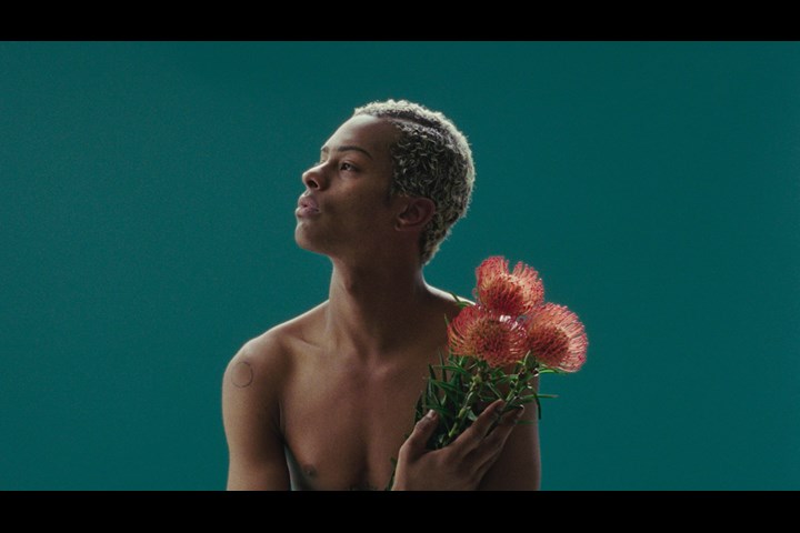 SKIN - NOZY Films GmbH - Dr.Hauschka