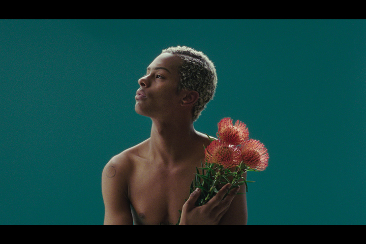 SKIN - NOZY Films GmbH - Dr.Hauschka