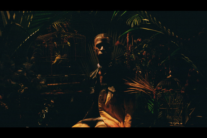 FREEBIRD - Equator productions - 