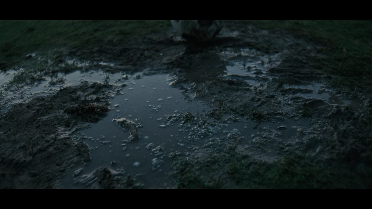 Tomorrow’s GOAT/ TMRW’S GOAT - Katara Studios - Supreme Committee for Delivery and Legacy / FIFA