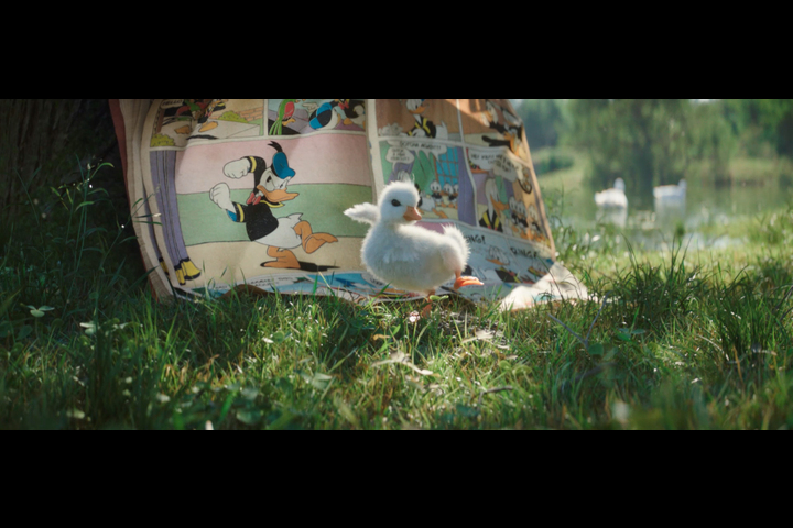 The little duck - - Disneyland Paris
