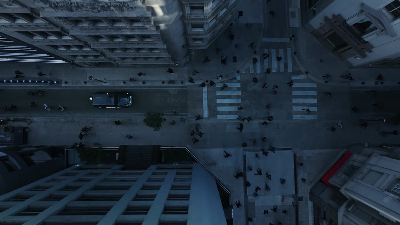 Paparazzi - LANDIA - LANDIA