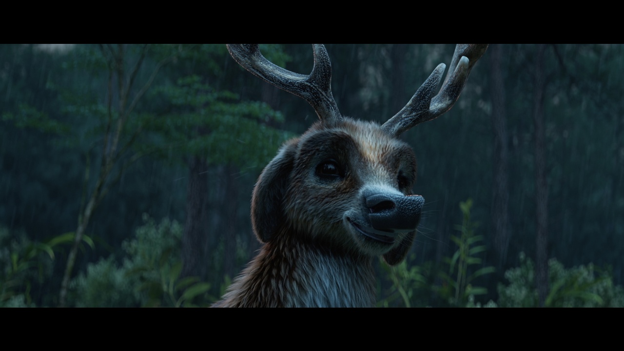 DEER - TIRES - HANKOOK TIRES