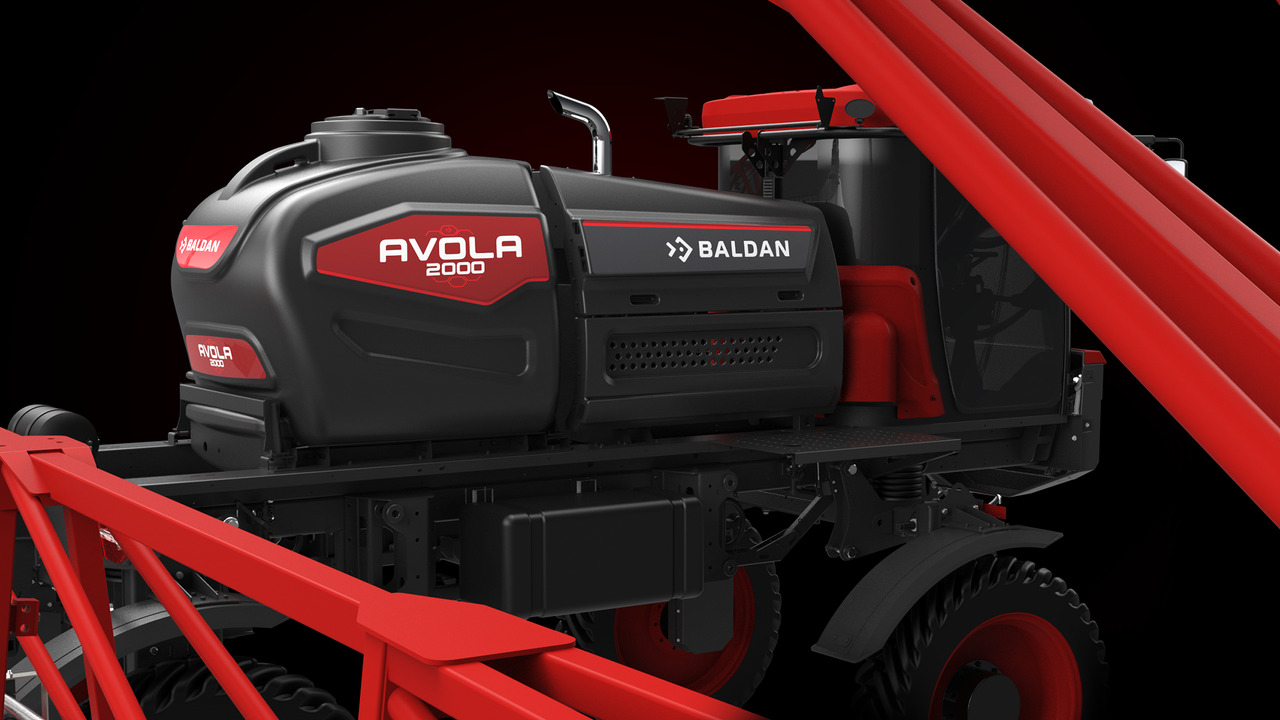 Avola - 2023 - Amowa Design