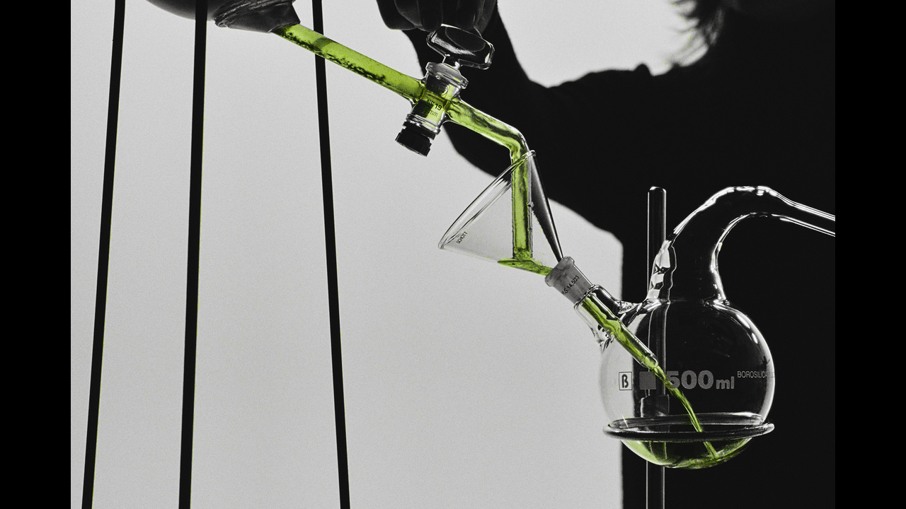 Observations on a Leaf, at dawn, covered in morning mist. - Stink - 